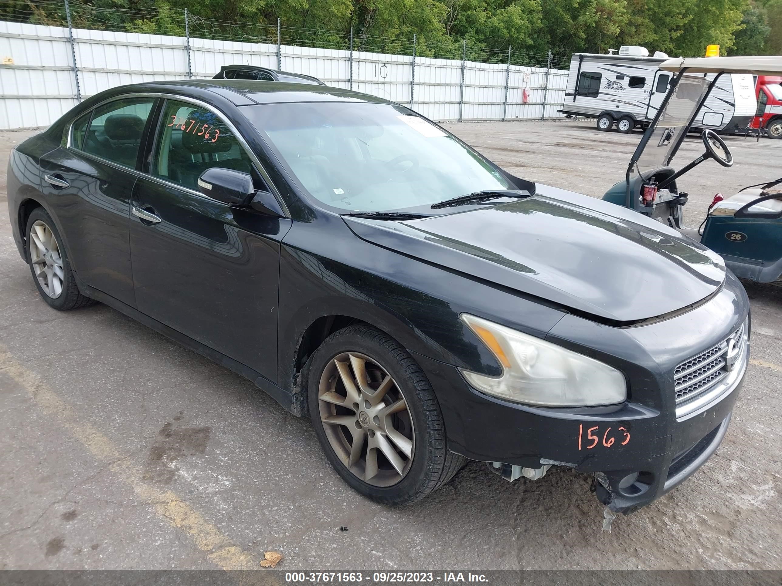 NISSAN MAXIMA 2011 1n4aa5ap5bc806577