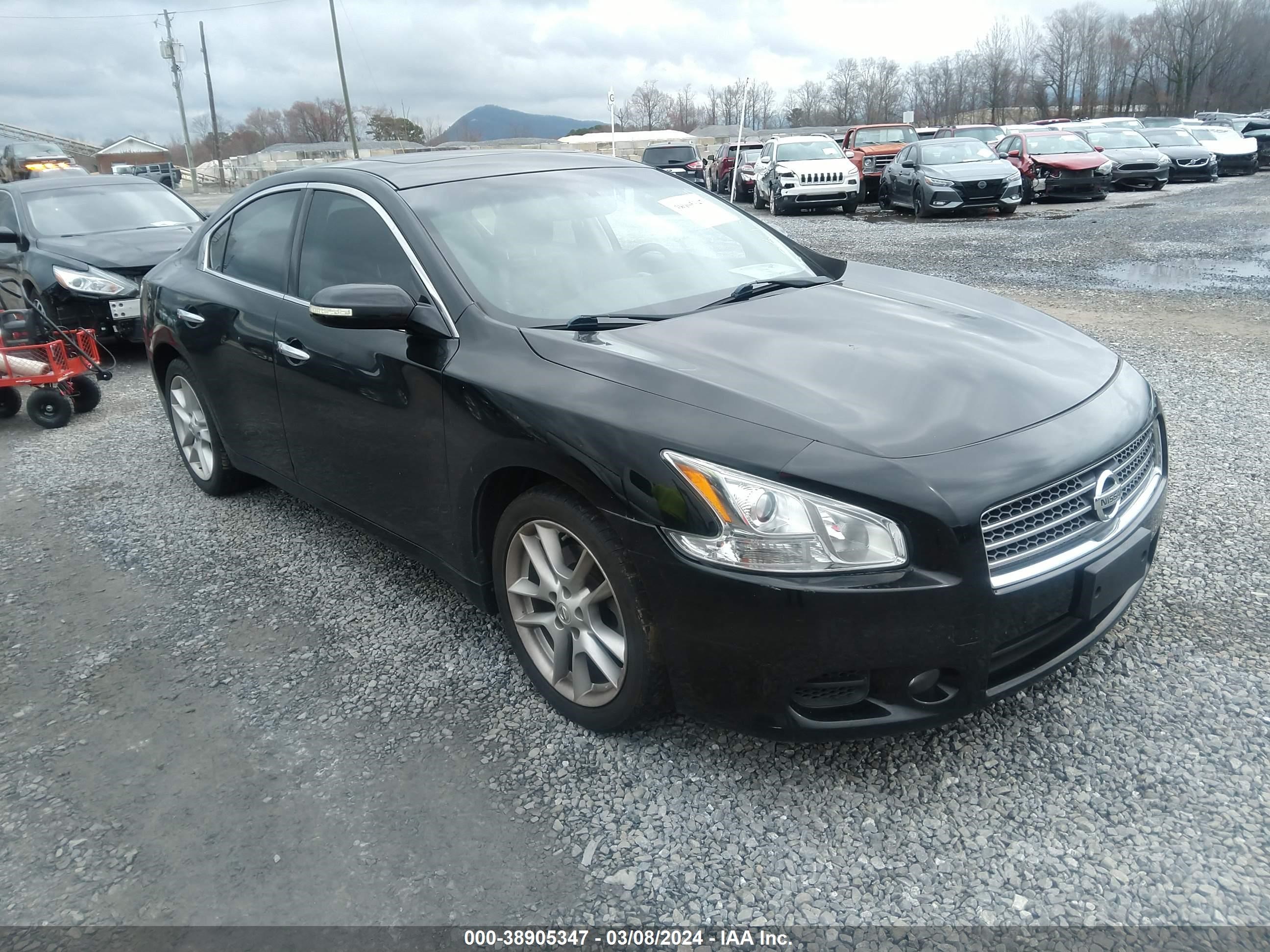 NISSAN MAXIMA 2011 1n4aa5ap5bc810239