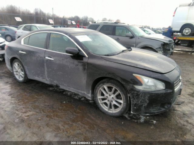 NISSAN MAXIMA 2011 1n4aa5ap5bc823721