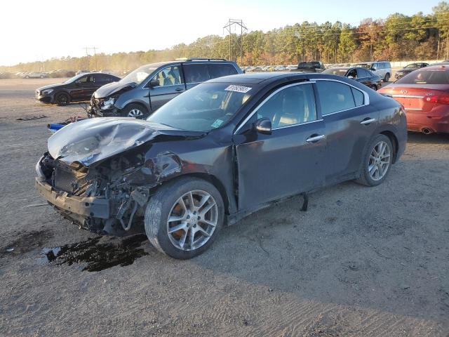 NISSAN MAXIMA 2011 1n4aa5ap5bc837165