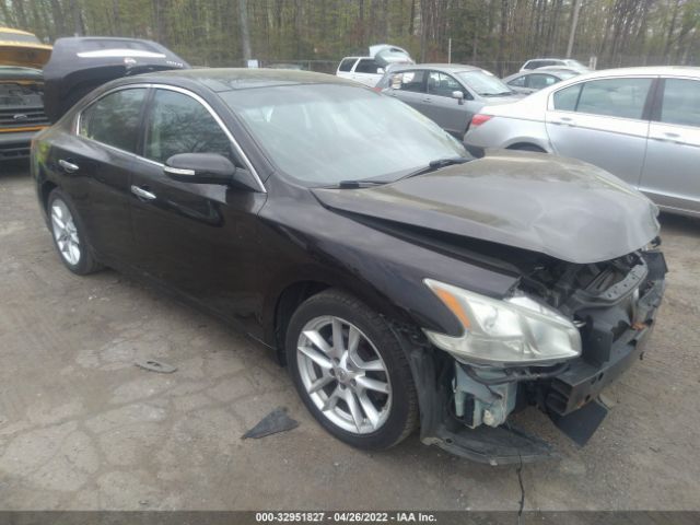 NISSAN MAXIMA 2011 1n4aa5ap5bc839109