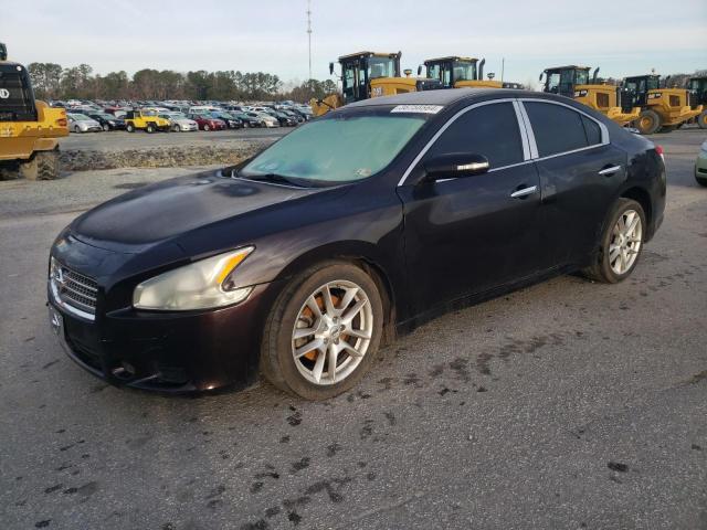 NISSAN MAXIMA 2011 1n4aa5ap5bc843483