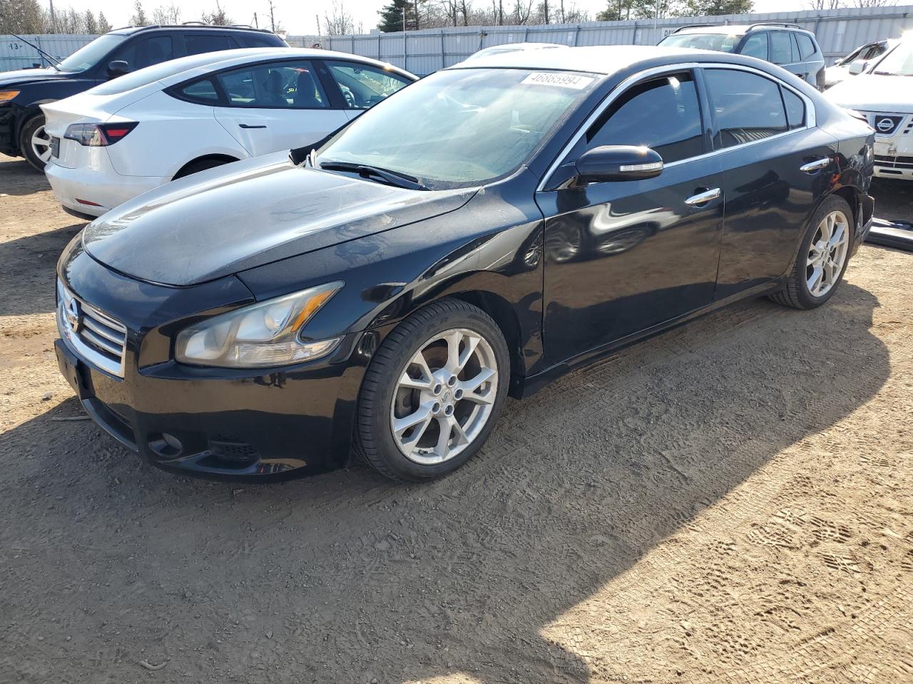 NISSAN MAXIMA 2012 1n4aa5ap5cc820383