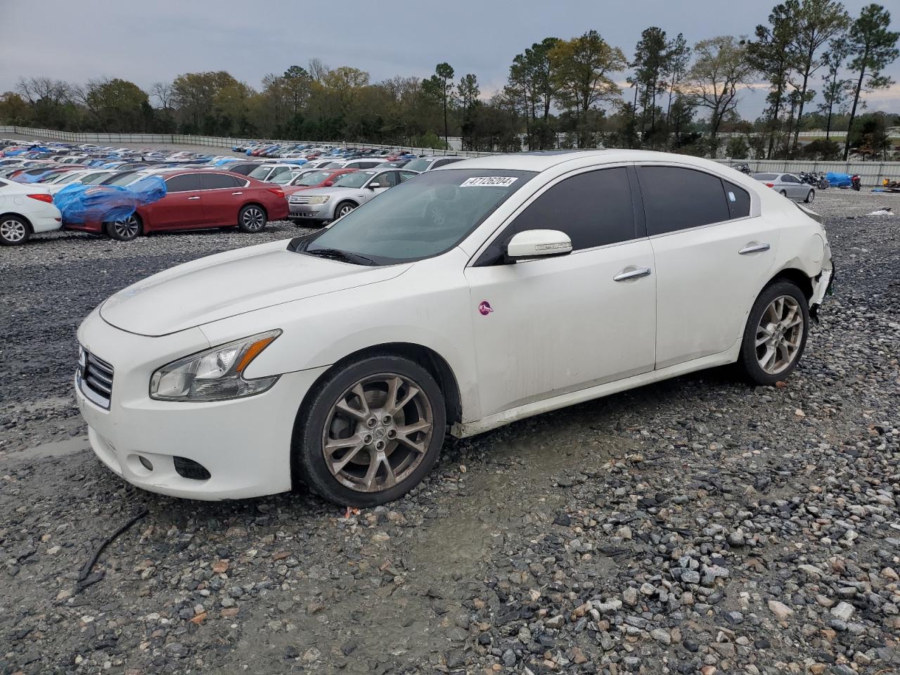 NISSAN MAXIMA 2013 1n4aa5ap5dc832311