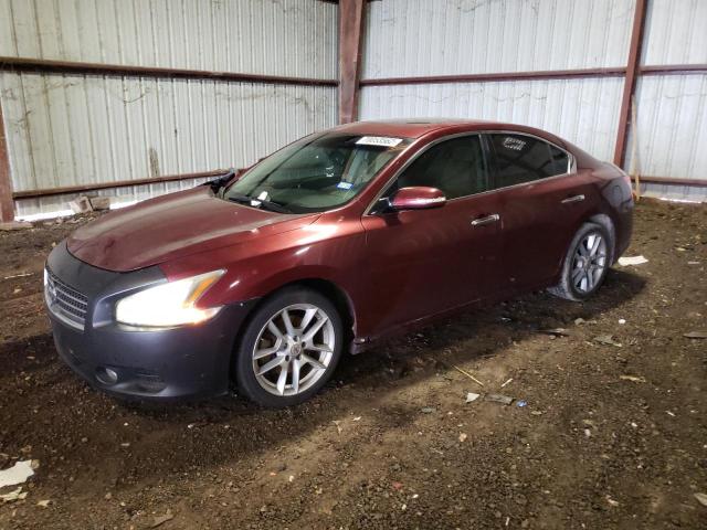 NISSAN MAXIMA S 2010 1n4aa5ap6ac802620