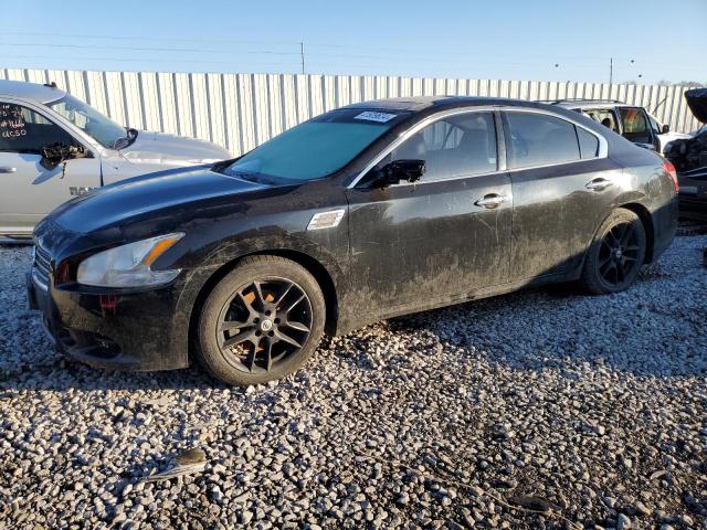 NISSAN MAXIMA 2010 1n4aa5ap6ac807834