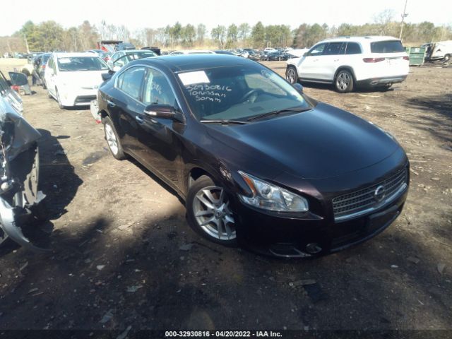 NISSAN MAXIMA 2010 1n4aa5ap6ac808451