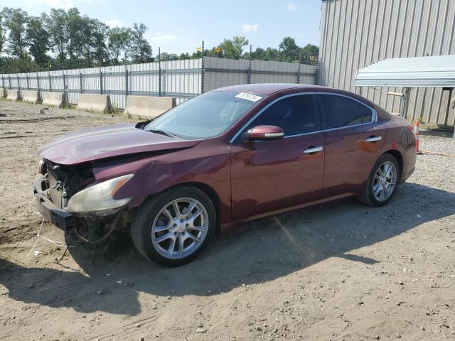 NISSAN MAXIMA 2010 1n4aa5ap6ac812595