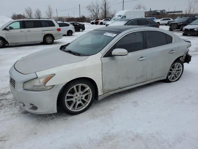 NISSAN MAXIMA 2010 1n4aa5ap6ac813388