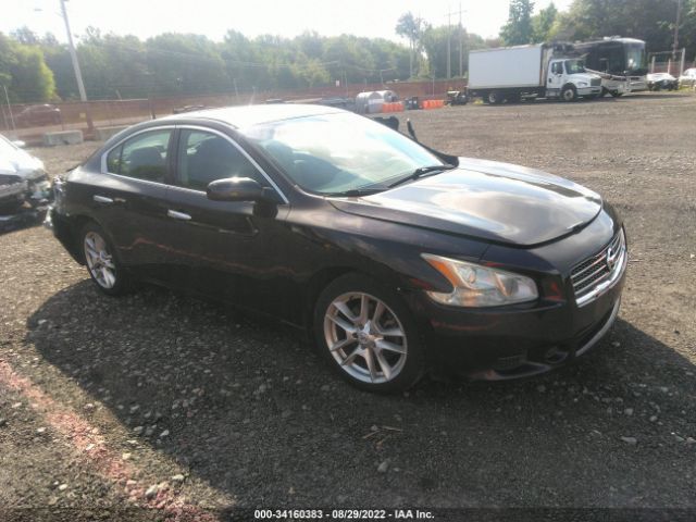 NISSAN MAXIMA 2010 1n4aa5ap6ac816310