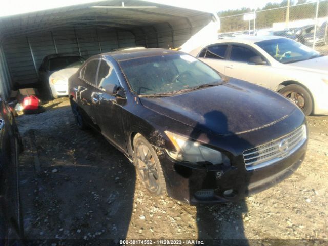 NISSAN MAXIMA 2010 1n4aa5ap6ac819627