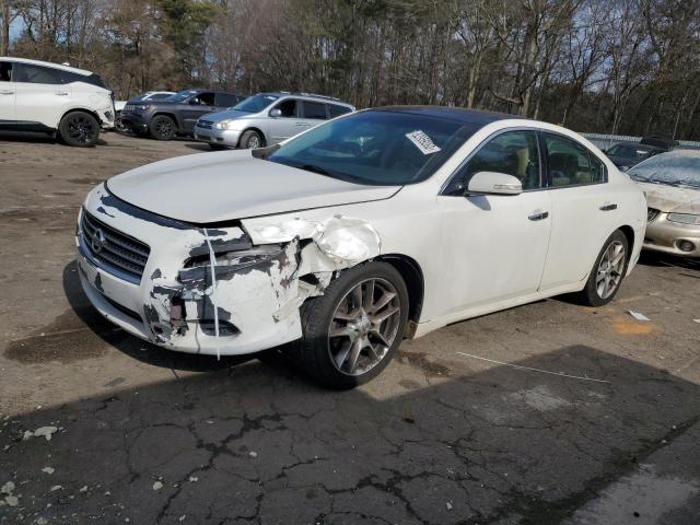 NISSAN MAXIMA 2010 1n4aa5ap6ac820406