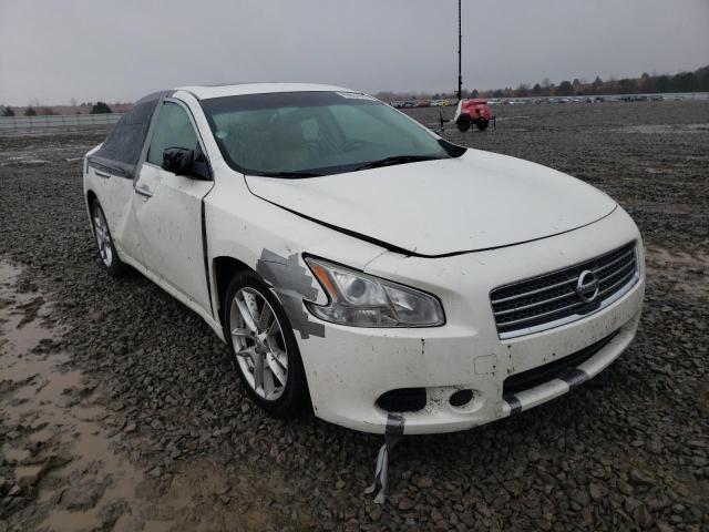 NISSAN MAXIMA S 2010 1n4aa5ap6ac820776