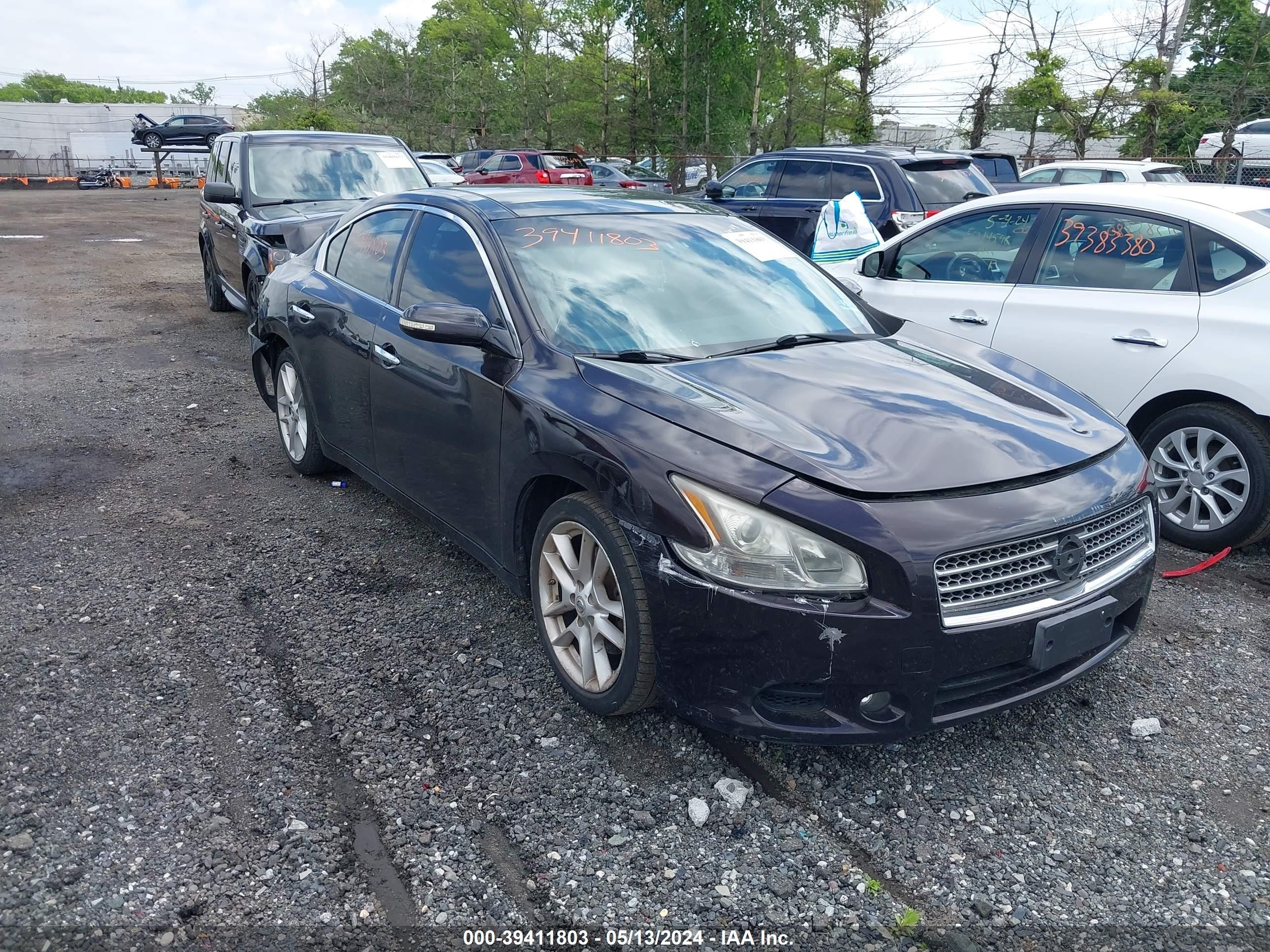 NISSAN MAXIMA 2010 1n4aa5ap6ac822799