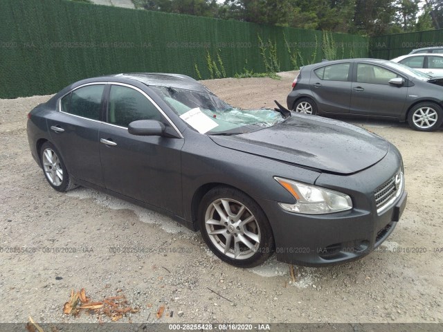 NISSAN MAXIMA 2010 1n4aa5ap6ac823094