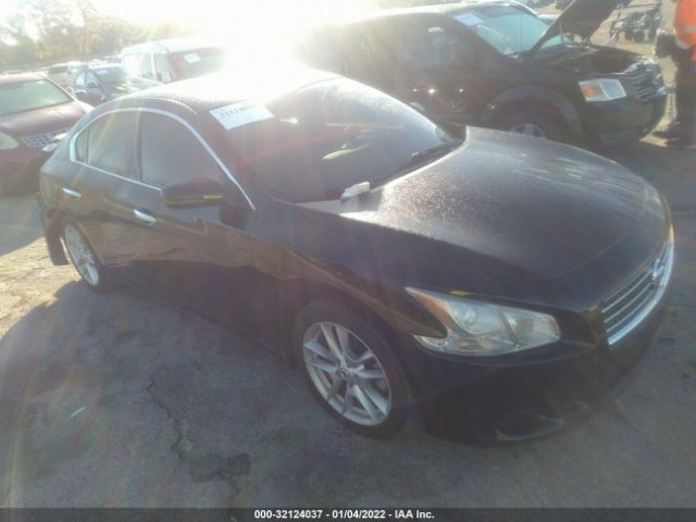 NISSAN MAXIMA 2010 1n4aa5ap6ac824035