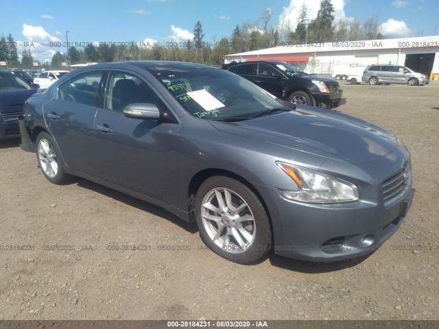 NISSAN MAXIMA 2010 1n4aa5ap6ac838856