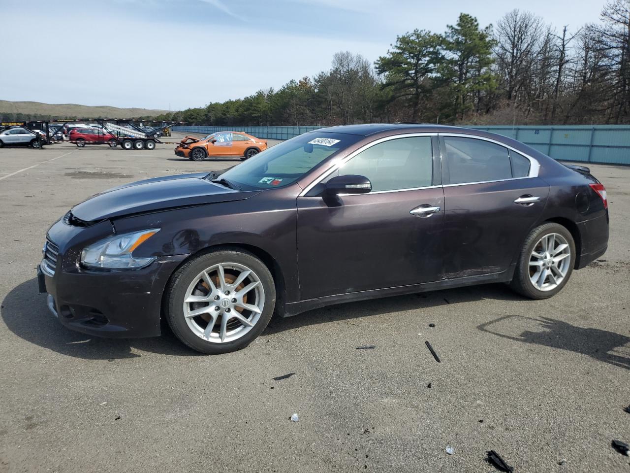 NISSAN MAXIMA 2010 1n4aa5ap6ac843975