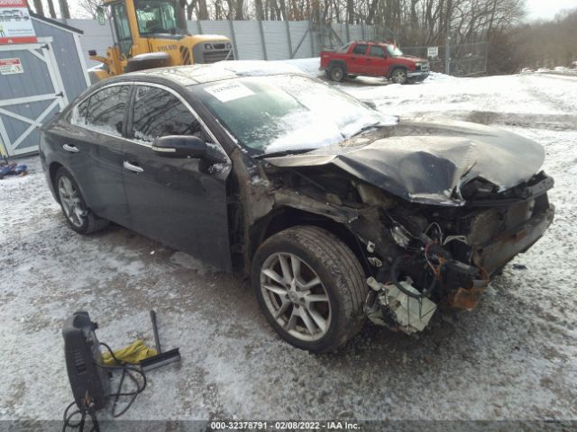 NISSAN MAXIMA 2010 1n4aa5ap6ac844026