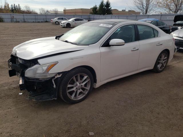 NISSAN MAXIMA 2010 1n4aa5ap6ac850361