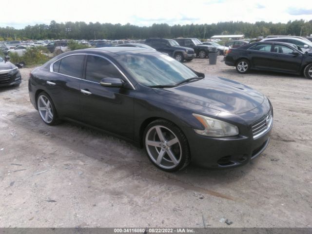 NISSAN MAXIMA 2010 1n4aa5ap6ac855138