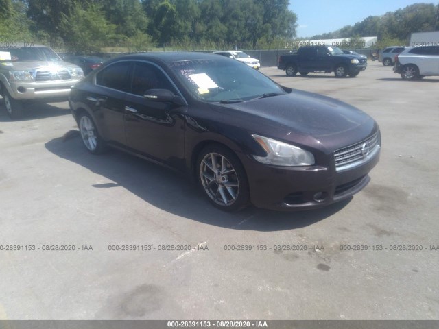 NISSAN MAXIMA 2010 1n4aa5ap6ac856385