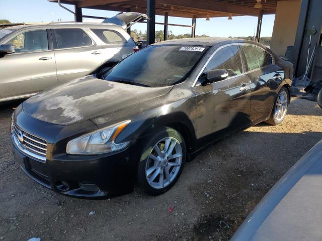 NISSAN MAXIMA 2010 1n4aa5ap6ac860226