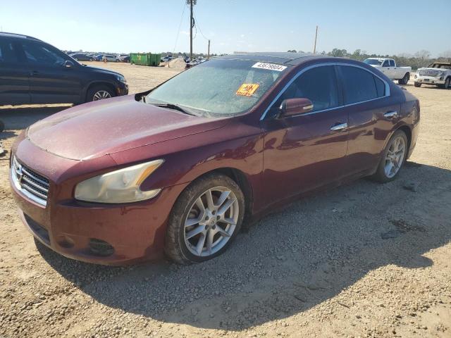 NISSAN MAXIMA 2010 1n4aa5ap6ac863112