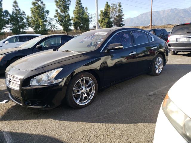 NISSAN MAXIMA 2010 1n4aa5ap6ac869878