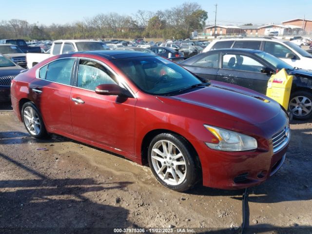 NISSAN MAXIMA 2010 1n4aa5ap6ac874224