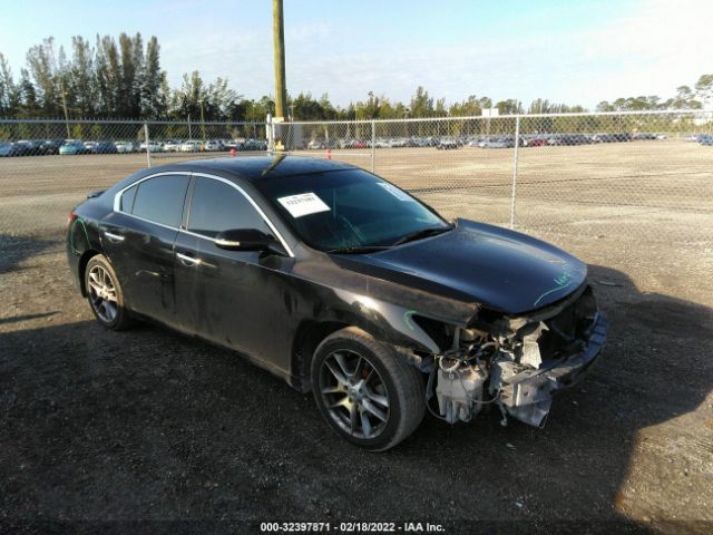 NISSAN MAXIMA 2011 1n4aa5ap6bc804210