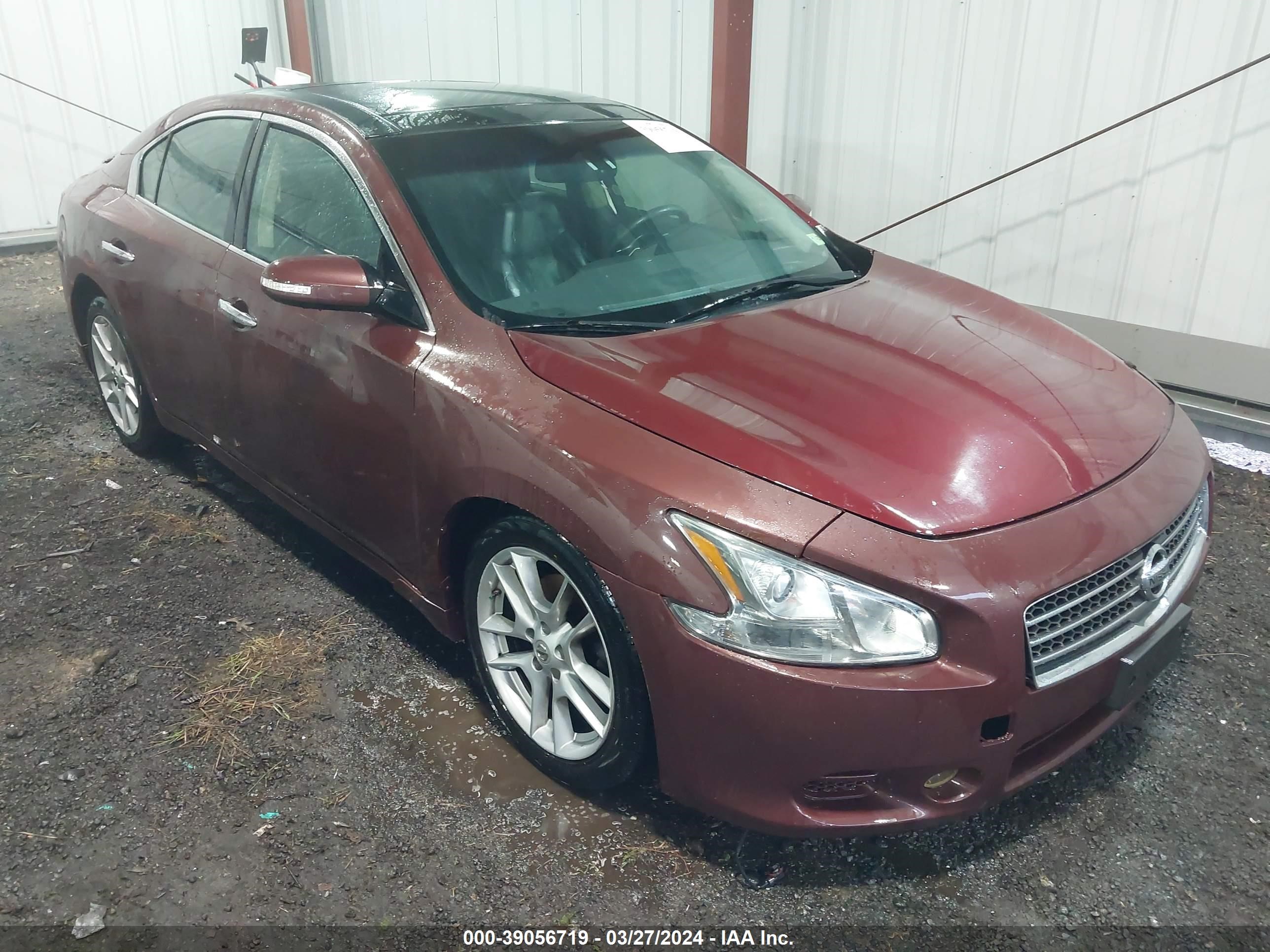 NISSAN MAXIMA 2011 1n4aa5ap6bc810704