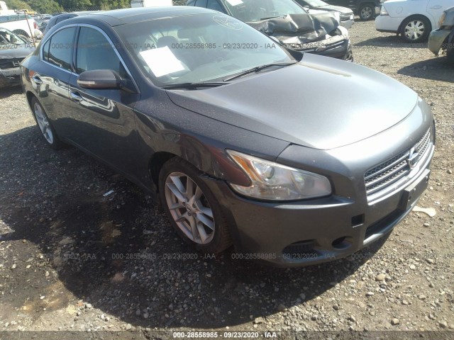 NISSAN MAXIMA 2011 1n4aa5ap6bc814011