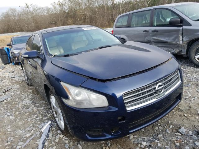 NISSAN MAXIMA 2011 1n4aa5ap6bc821699