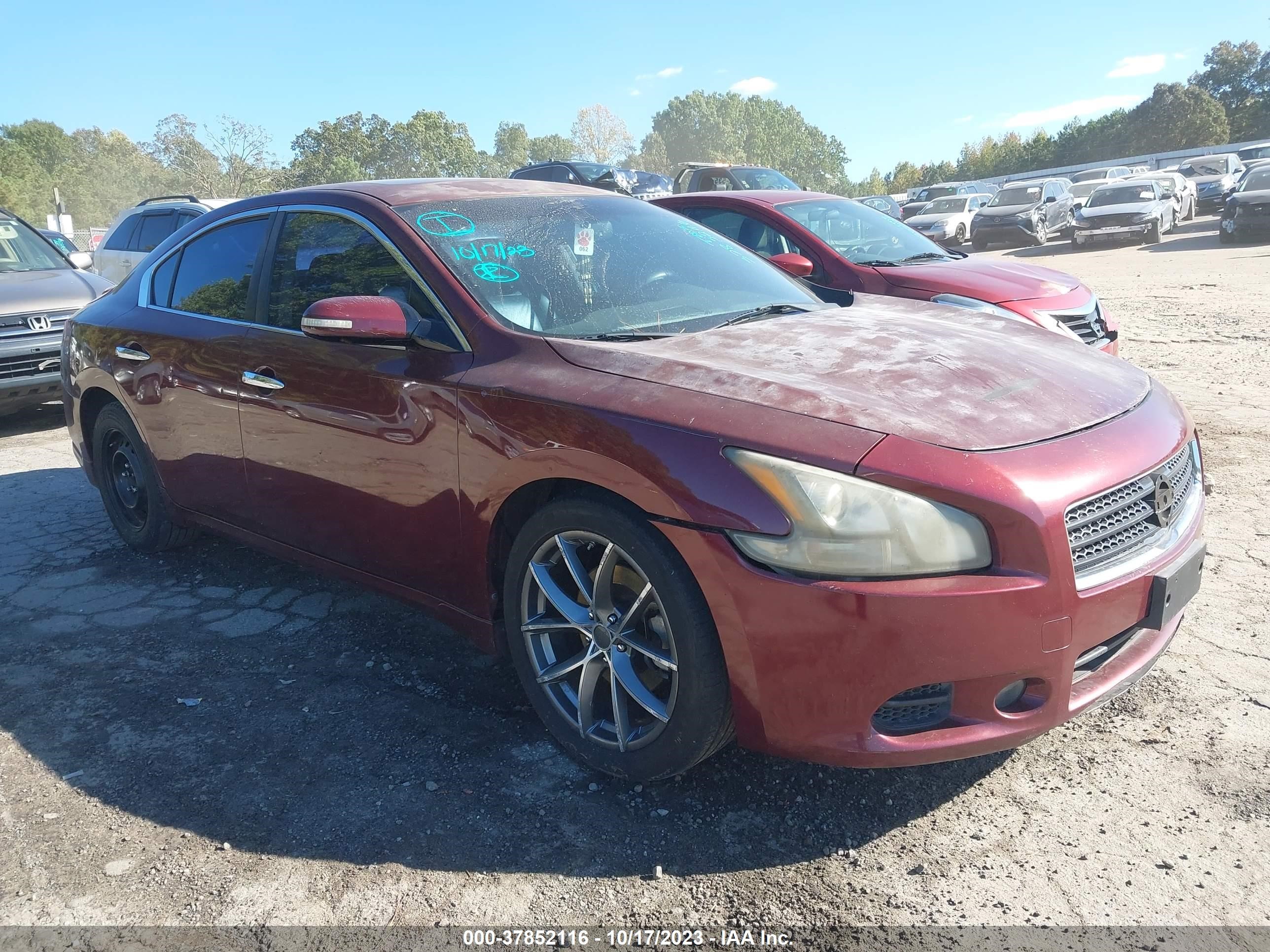 NISSAN MAXIMA 2011 1n4aa5ap6bc828880