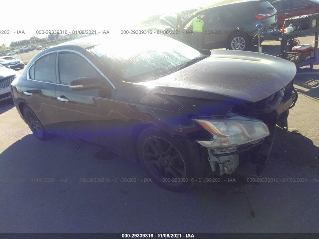 NISSAN MAXIMA 2011 1n4aa5ap6bc859613