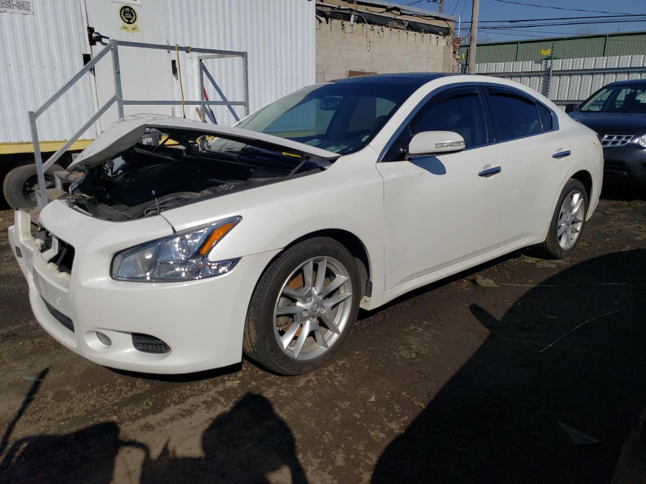 NISSAN MAXIMA 2011 1n4aa5ap6bc862527