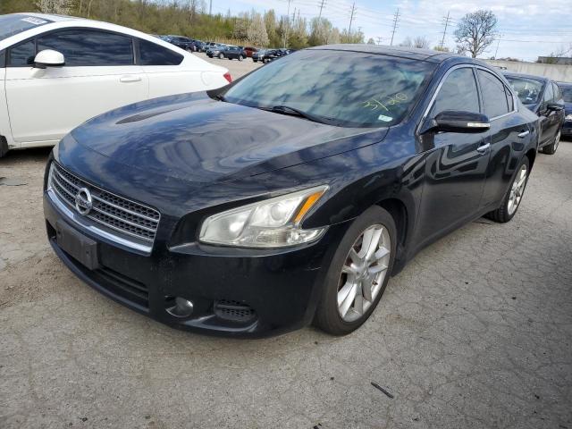 NISSAN MAXIMA 2011 1n4aa5ap6bc869817