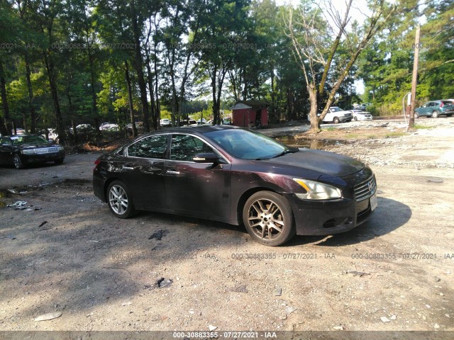 NISSAN MAXIMA 2010 1n4aa5ap7ac801699