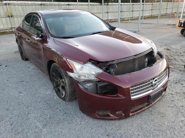 NISSAN MAXIMA S 2010 1n4aa5ap7ac801833