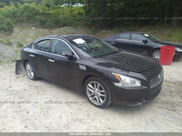 NISSAN MAXIMA 2010 1n4aa5ap7ac804361