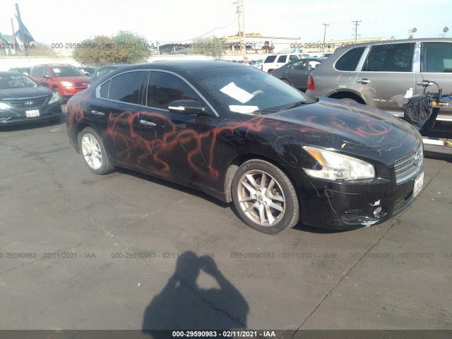 NISSAN MAXIMA 2010 1n4aa5ap7ac805025