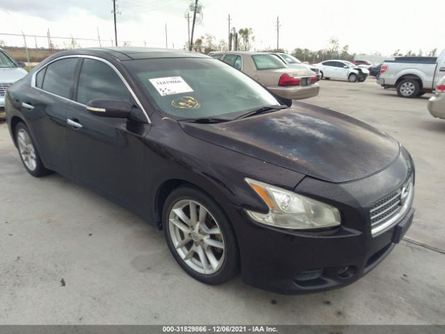 NISSAN MAXIMA 2010 1n4aa5ap7ac805669