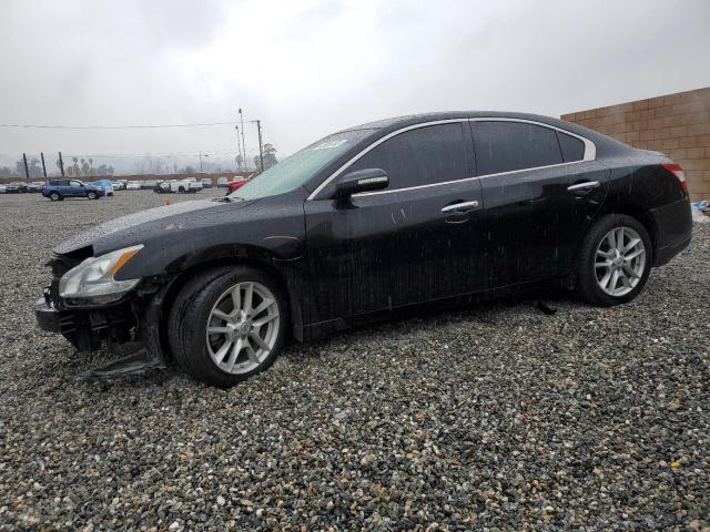 NISSAN MAXIMA S 2010 1n4aa5ap7ac810127