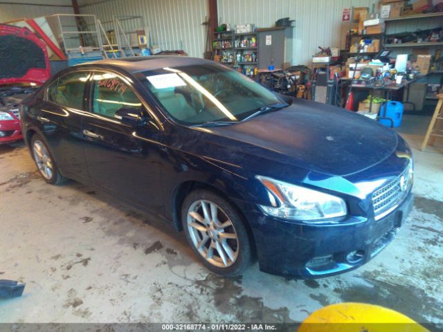 NISSAN MAXIMA 2010 1n4aa5ap7ac810516