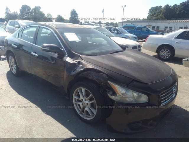 NISSAN MAXIMA 2010 1n4aa5ap7ac811021