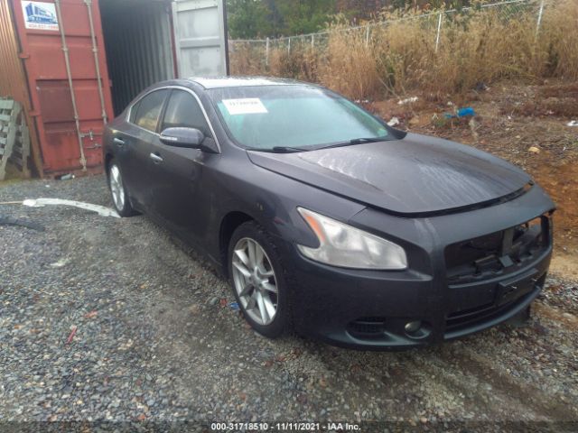 NISSAN MAXIMA 2010 1n4aa5ap7ac811861