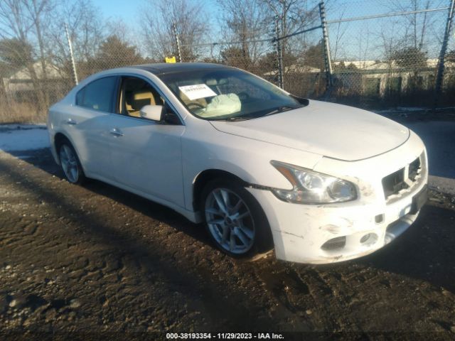 NISSAN MAXIMA 2010 1n4aa5ap7ac812184