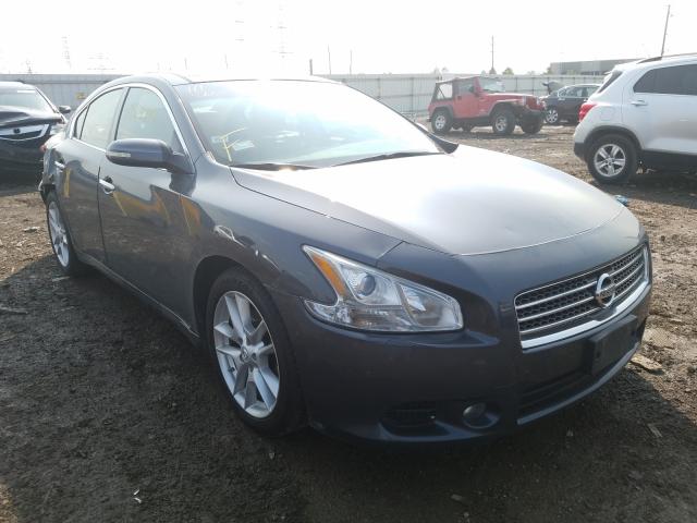 NISSAN MAXIMA S 2010 1n4aa5ap7ac813156