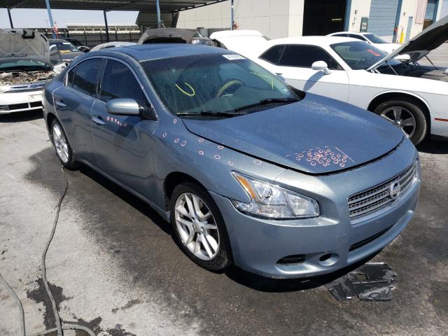 NISSAN MAXIMA S 2010 1n4aa5ap7ac813674